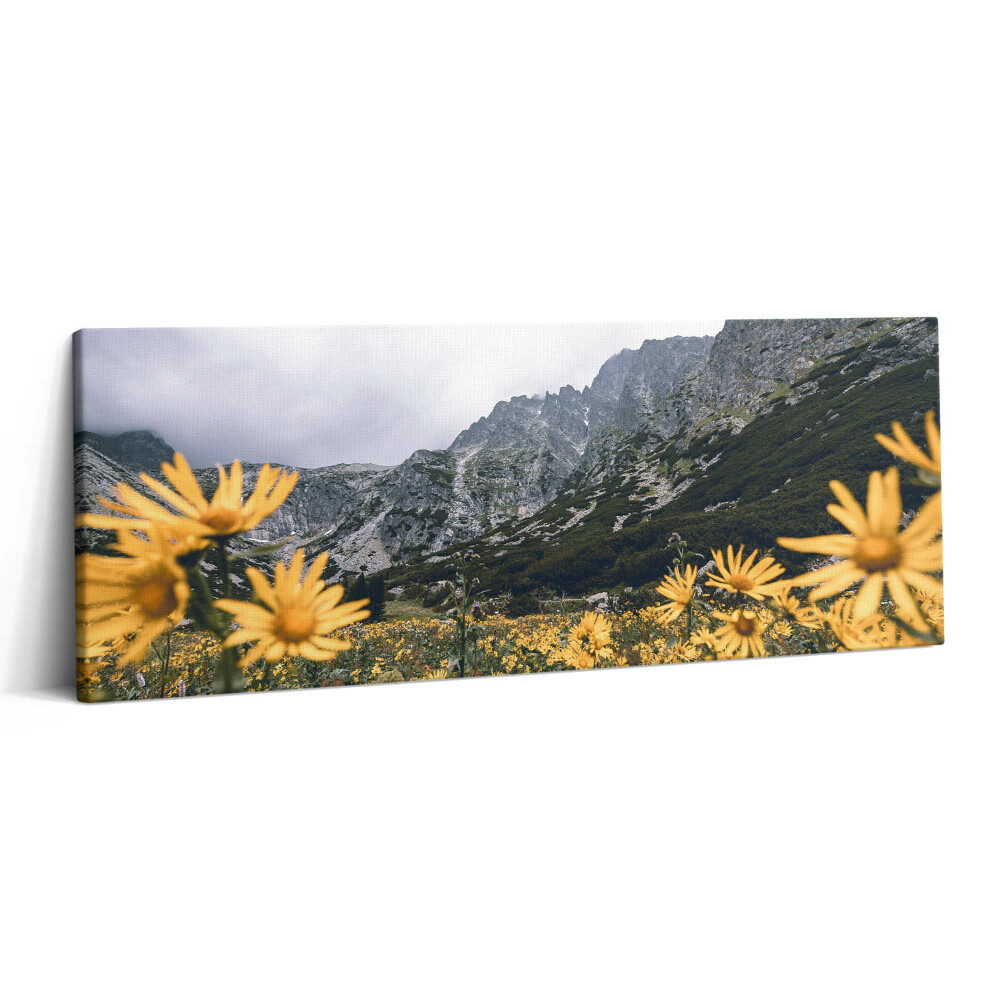 Print pe canvas 125x50 Pajiște cu flori din Munții Tatra