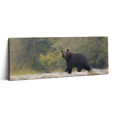 Print pe canvas 125x50 Urs în Munții Bieszczady