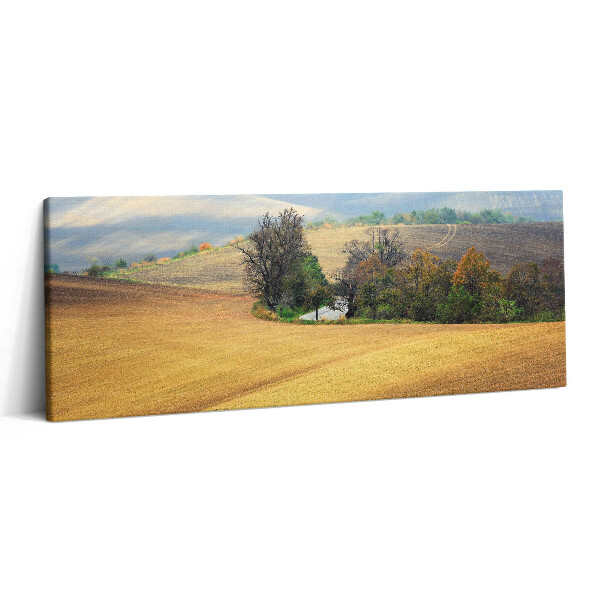 Print pe canvas 125x50 Peisaj rural moravian