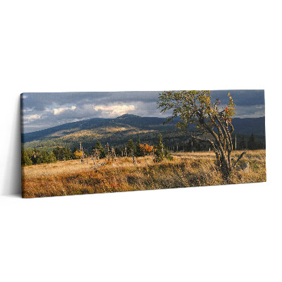 Print pe canvas 125x50 Karkonosze în toamnă