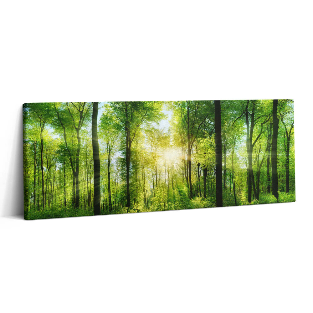 Print pe canvas 125x50 Natura copacilor de pădure