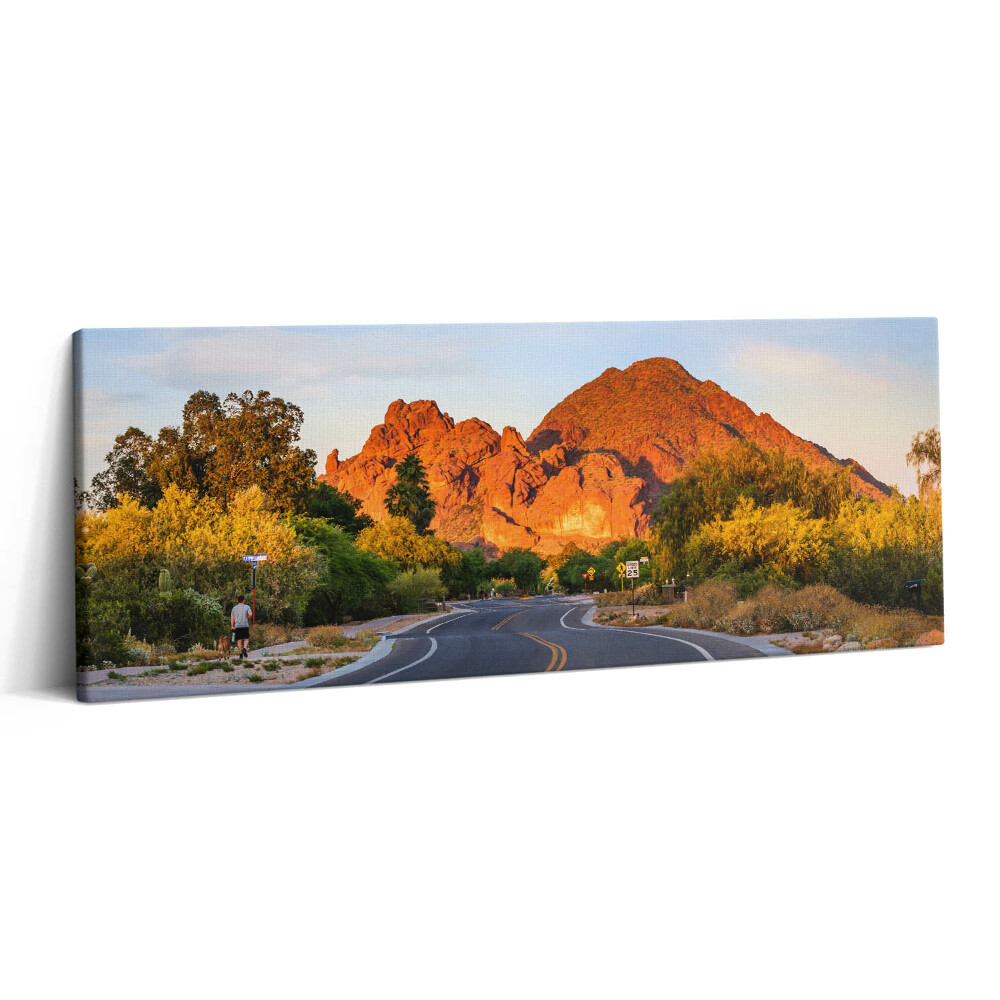 Print pe canvas 125x50 Vedere a Muntelui Camelback