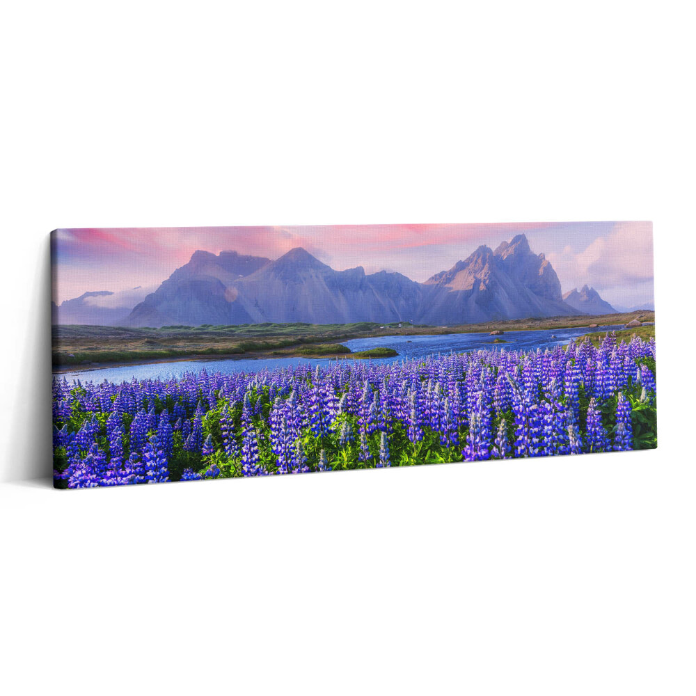 Print pe canvas 125x50 Câmpuri de lavandă - Islanda