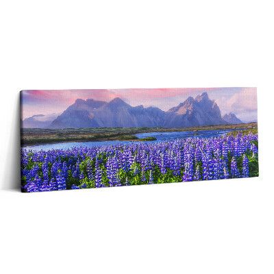 Print pe canvas 125x50 Câmpuri de lavandă - Islanda