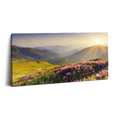 Print pe pânză 140x70 Munți și o pajiște cu flori