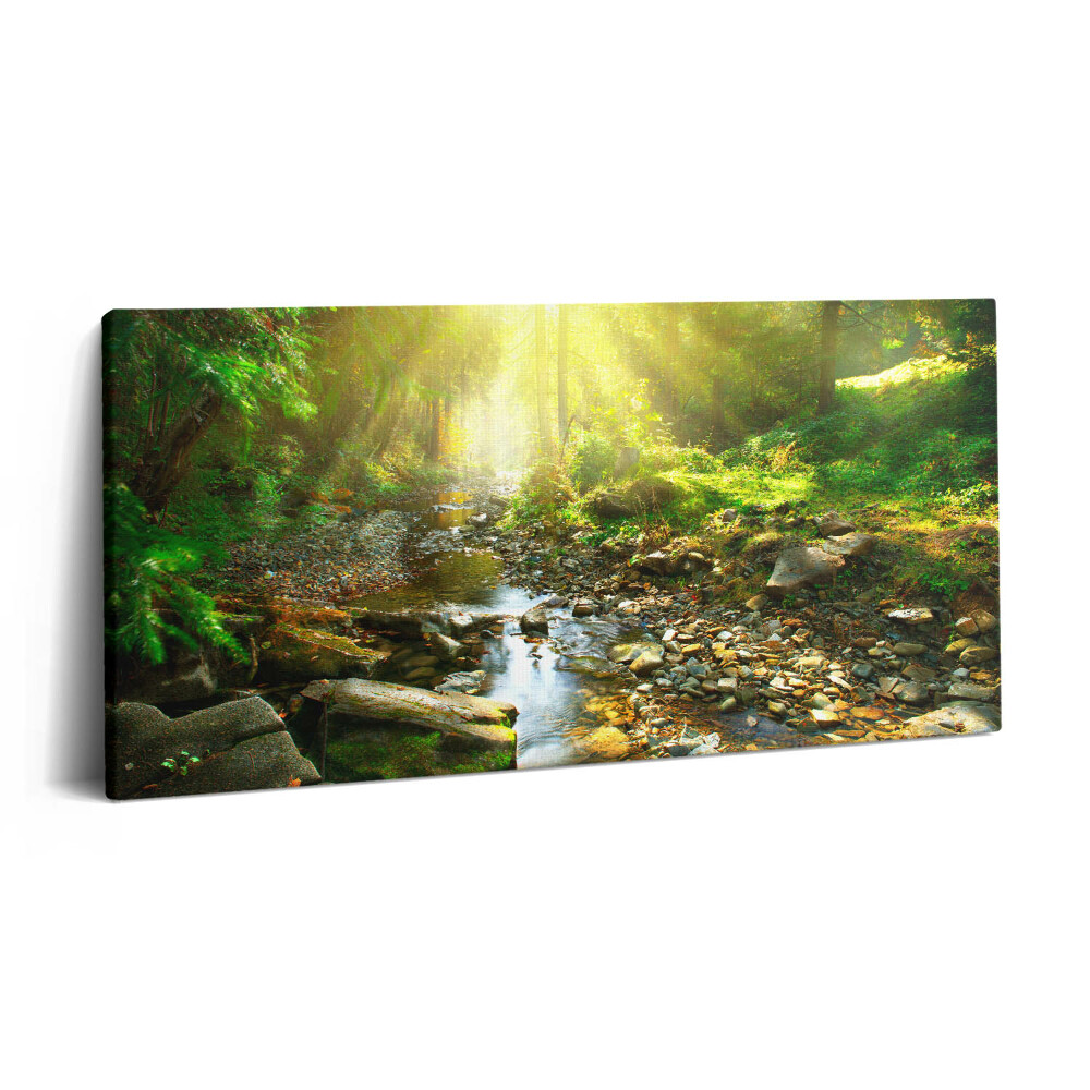 Print pe pânză 140x70 Pârâu de pădure la soare