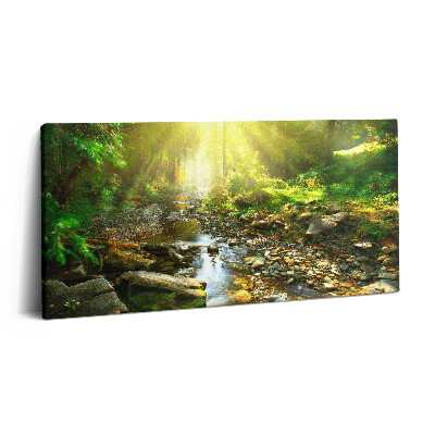Print pe pânză 140x70 Pârâu de pădure la soare
