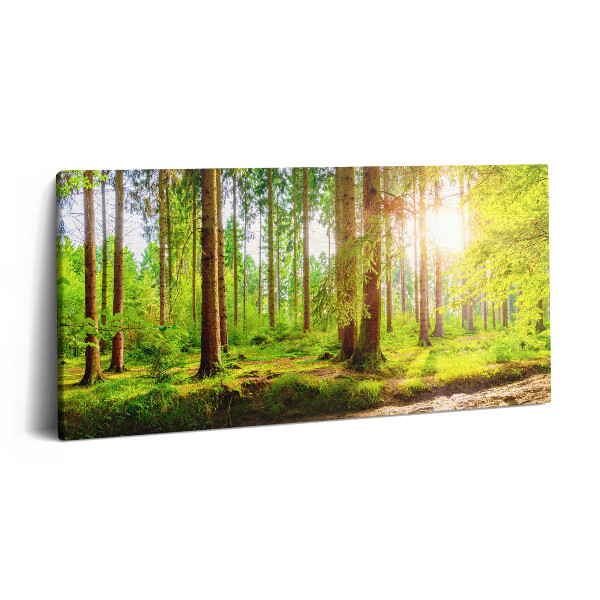 Print pe pânză 140x70 Pădurea la soare