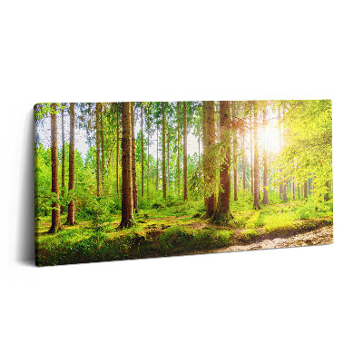 Print pe pânză 140x70 Pădurea la soare