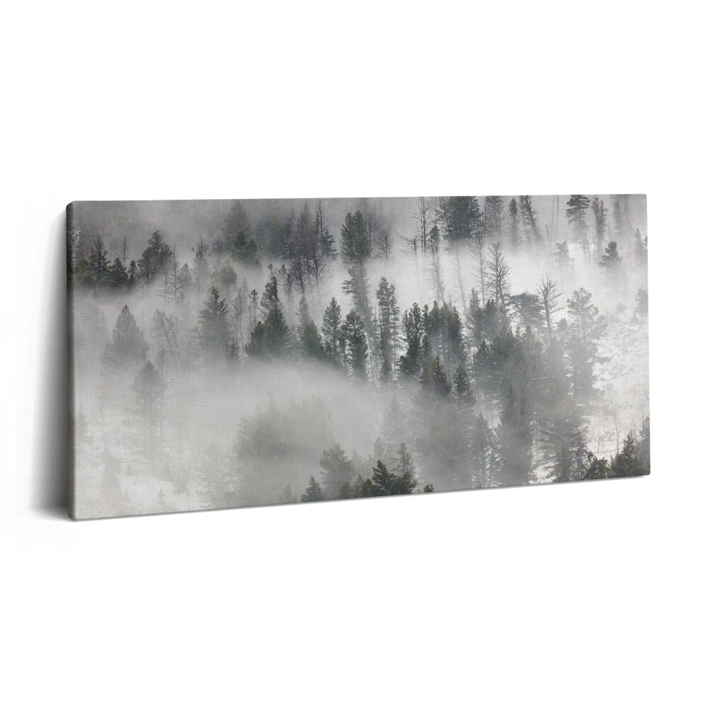 Print pe pânză 140x70 Peisaj de pădure încețoșată