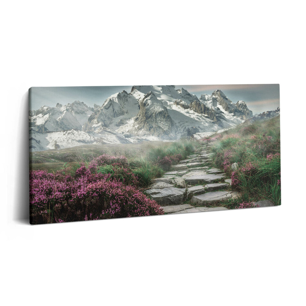 Print pe pânză 140x70 Un drum de piatră în munți