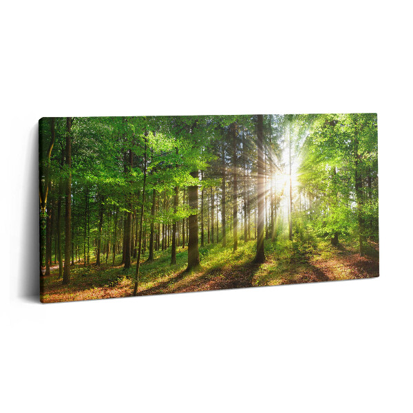 Print pe pânză 140x70 Pădure și răsărit de soare