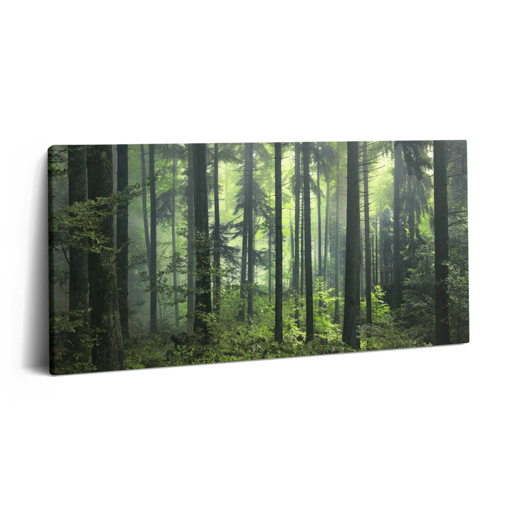 Print pe pânză 140x70 Peisaj de copaci și vegetație forestieră