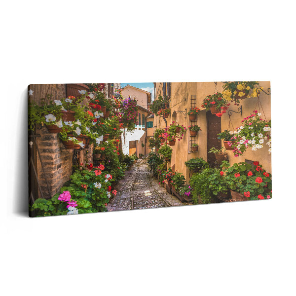 Print pe pânză 140x70 Strada Florilor din Umbria