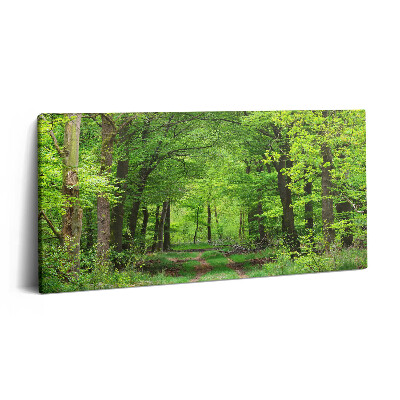 Print pe pânză 140x70 Drum forestier sub copaci