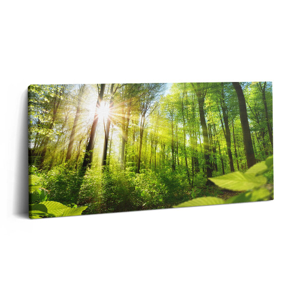 Print pe pânză 140x70 Razele soarelui în pădure