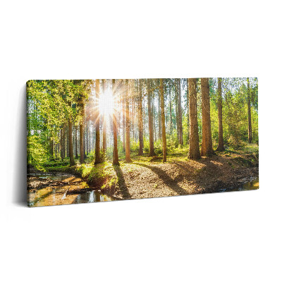 Print pe pânză 140x70 Soarele din spatele copacilor din pădure