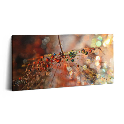 Print pe pânză 140x70 Păpădie și rouă