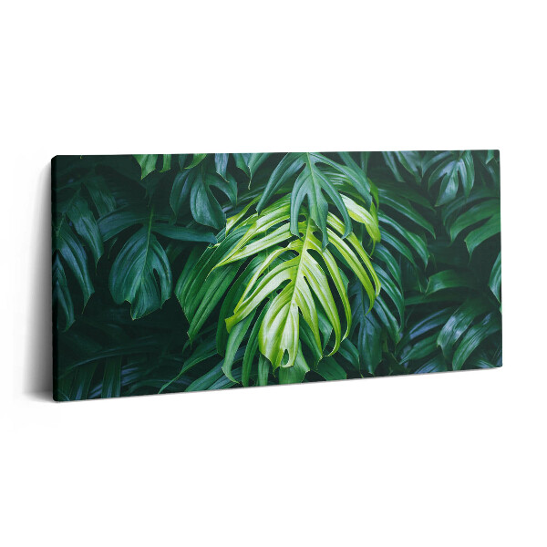 Print pe pânză 140x70 Natură tropicală - frunze de monstera