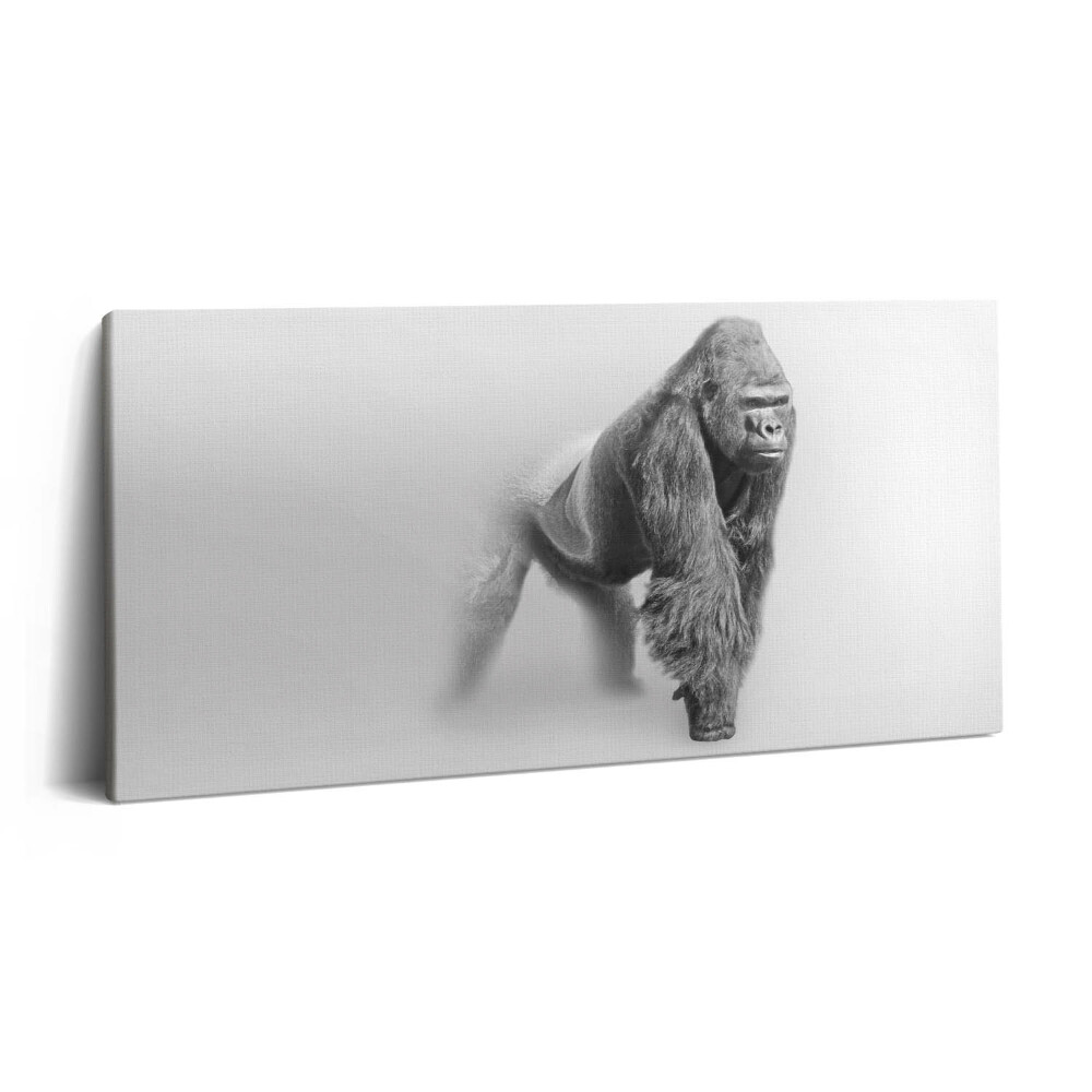 Print pe pânză 140x70 Colecția de artă a vieții sălbatice