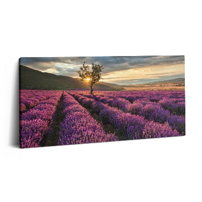 Print pe pânză 140x70 Peisaj de câmp de lavandă