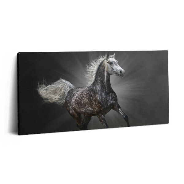 Print pe pânză 140x70 Calul galopant