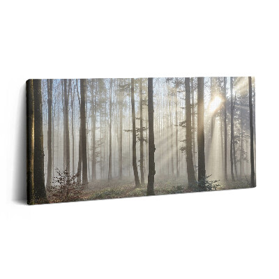 Print pe pânză 140x70 Pădurea în ceață