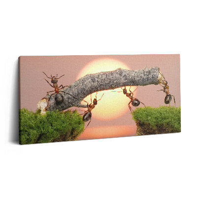 Print pe pânză 140x70 Furnici pe un trunchi de copac