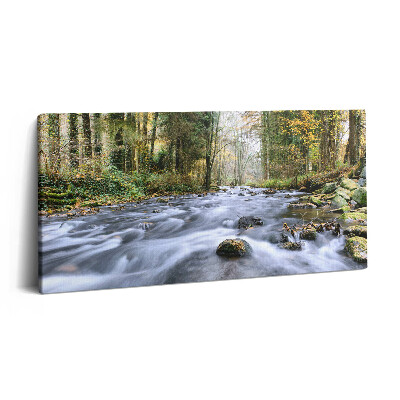 Print pe pânză 140x70 Pârâu de munte