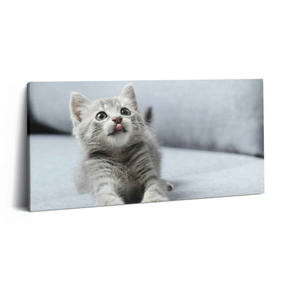 Print pe pânză 140x70 Pisicuță drăguță pe canapea