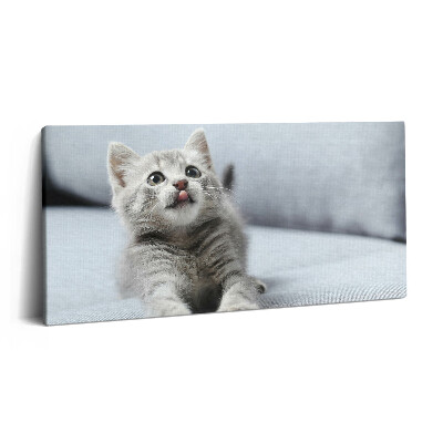 Print pe pânză 140x70 Pisicuță drăguță pe canapea