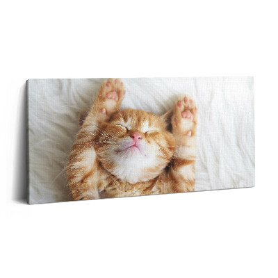 Print pe pânză 140x70 Pisicuță adormită