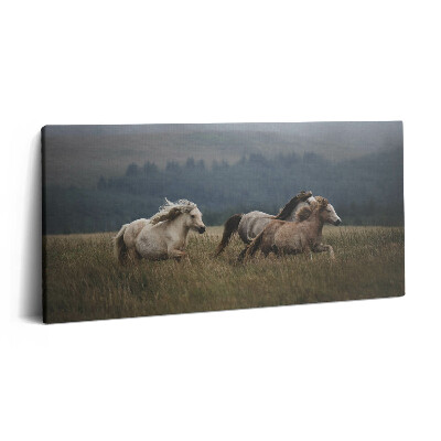 Print pe pânză 140x70 Caii galopând în sus