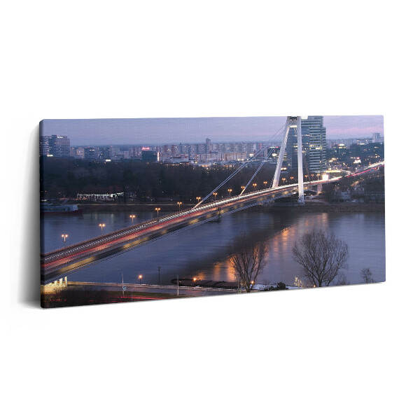 Print pe pânză 140x70 Podul OZN peste Dunăre din Bratislava