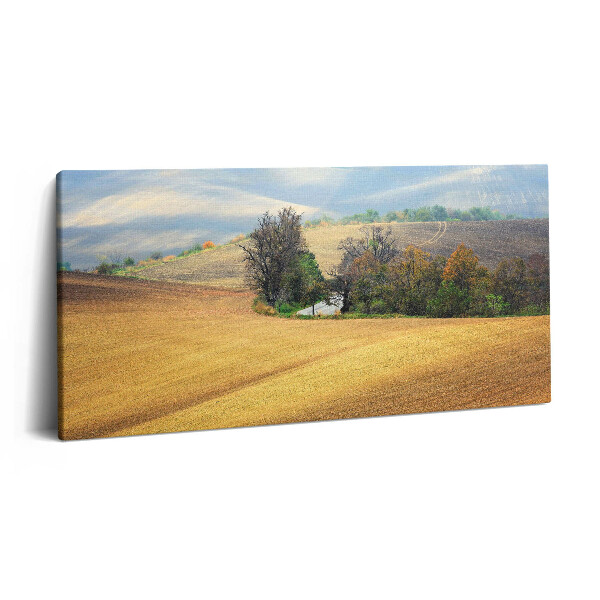 Print pe pânză 140x70 Peisaj rural moravian