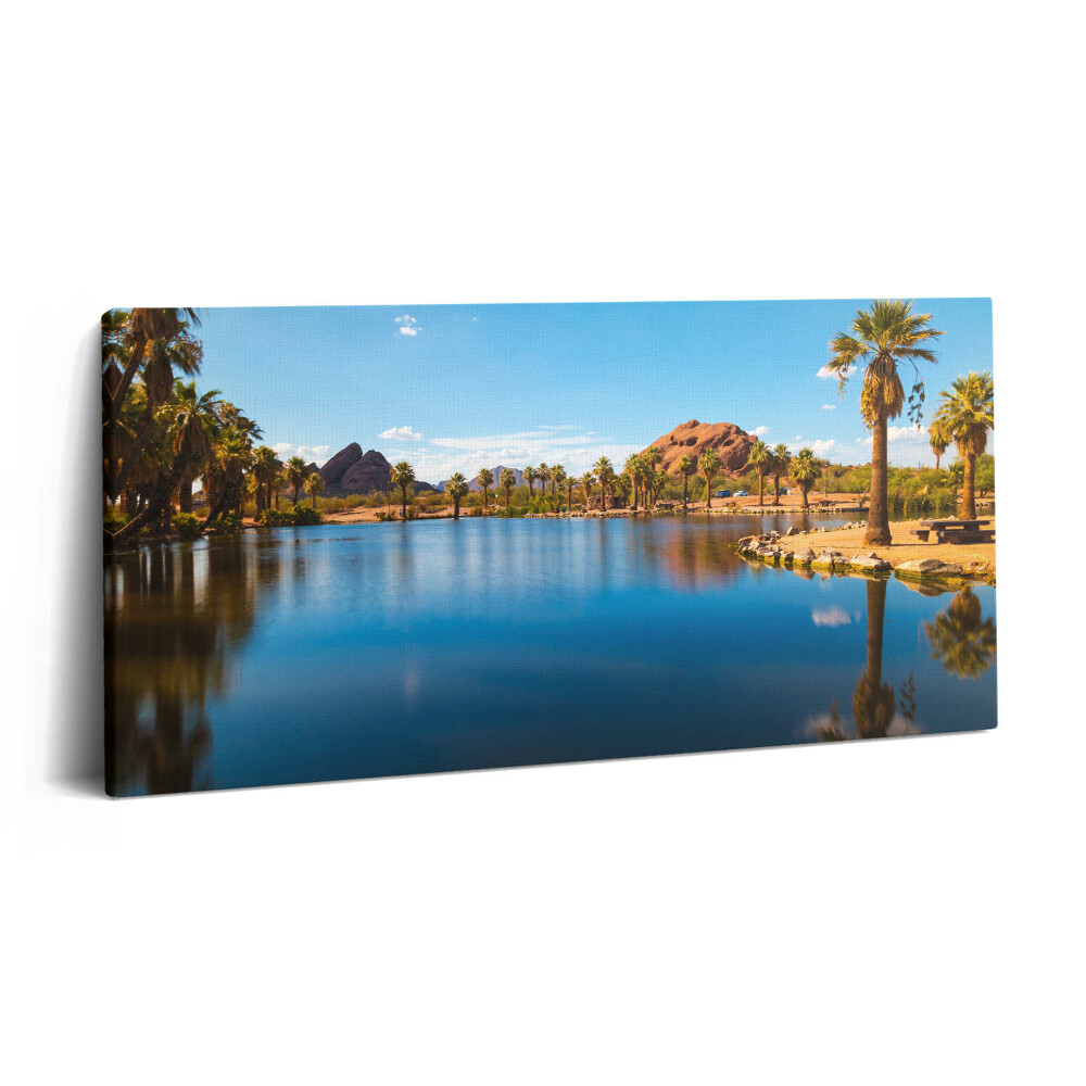Print pe pânză 140x70 Peisajul parcului Papago
