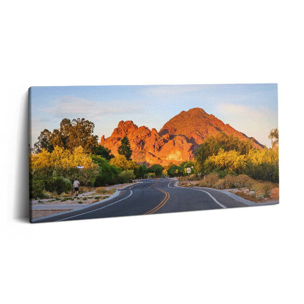 Print pe pânză 140x70 Vedere a Muntelui Camelback