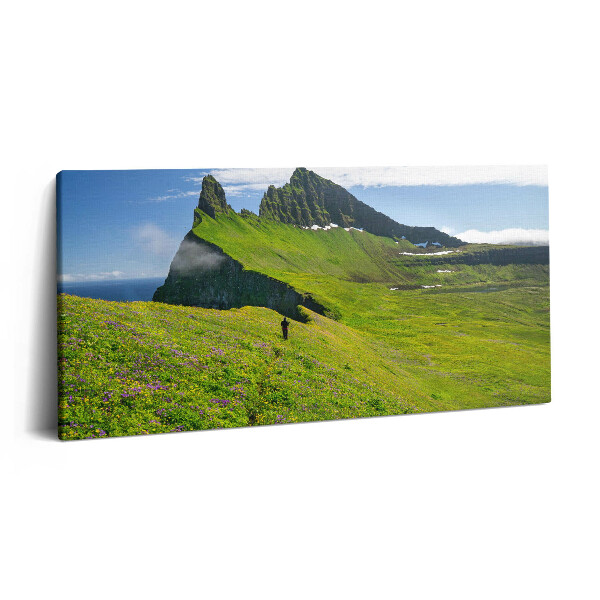 Print pe pânză 140x70 Rezervația Hornstrandir din Islanda