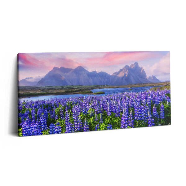 Print pe pânză 140x70 Câmpuri de lavandă - Islanda