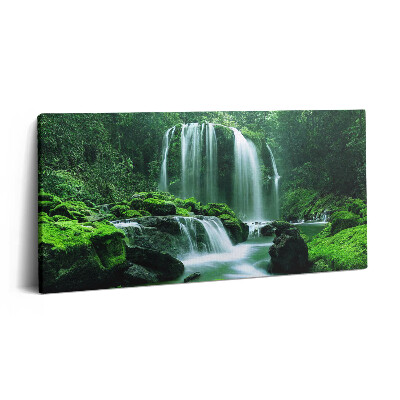 Print pe pânză 140x70 Cascadă printre mușchi
