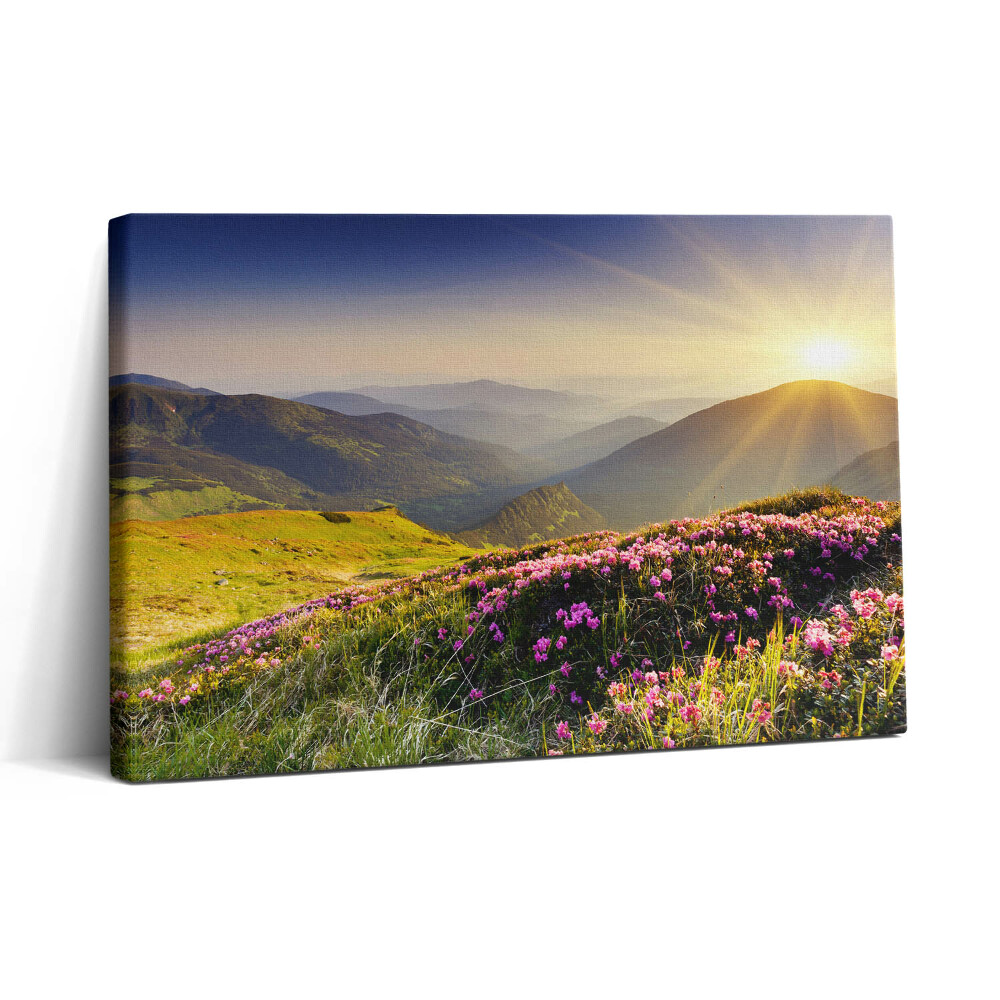 Tablou canvas 30x20 Munți și o pajiște cu flori