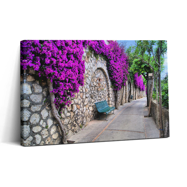 Tablou canvas 30x20 Drumul Florilor din Capri, Italia