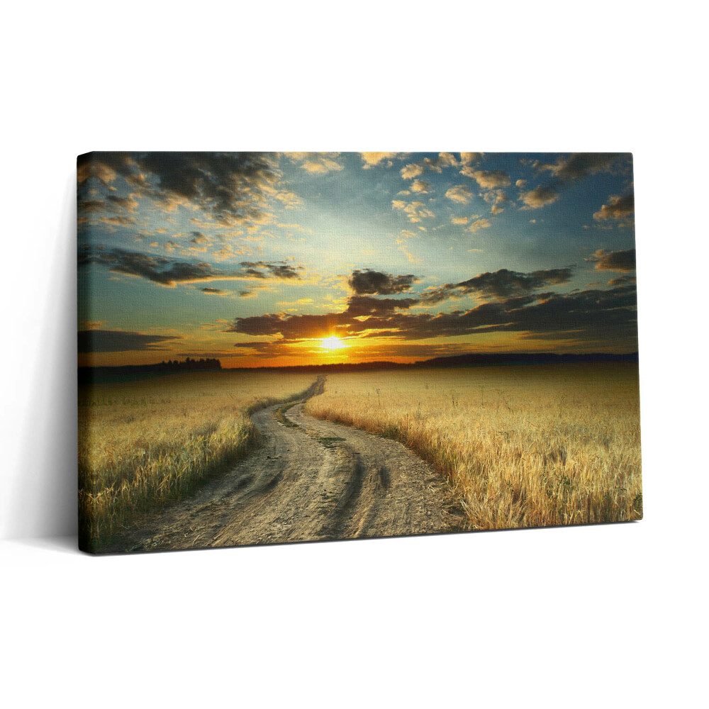 Tablou canvas 30x20 Drum de pământ și apus de soare