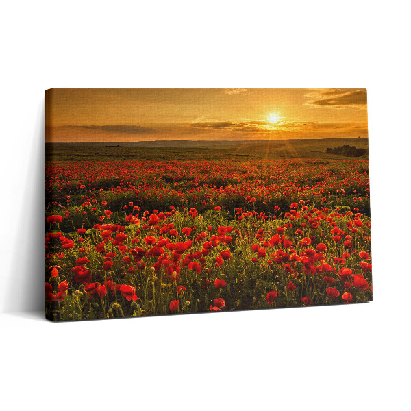 Tablou canvas 30x20 Peisaj al unei poiană cu maci
