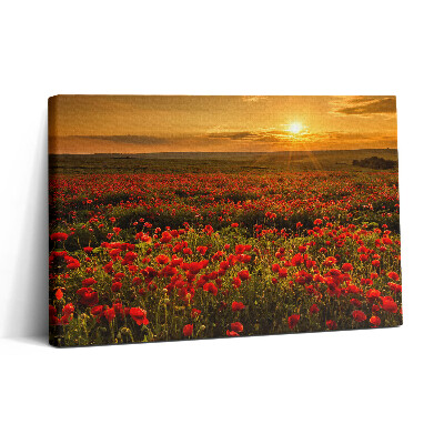 Tablou canvas 30x20 Peisaj al unei poiană cu maci