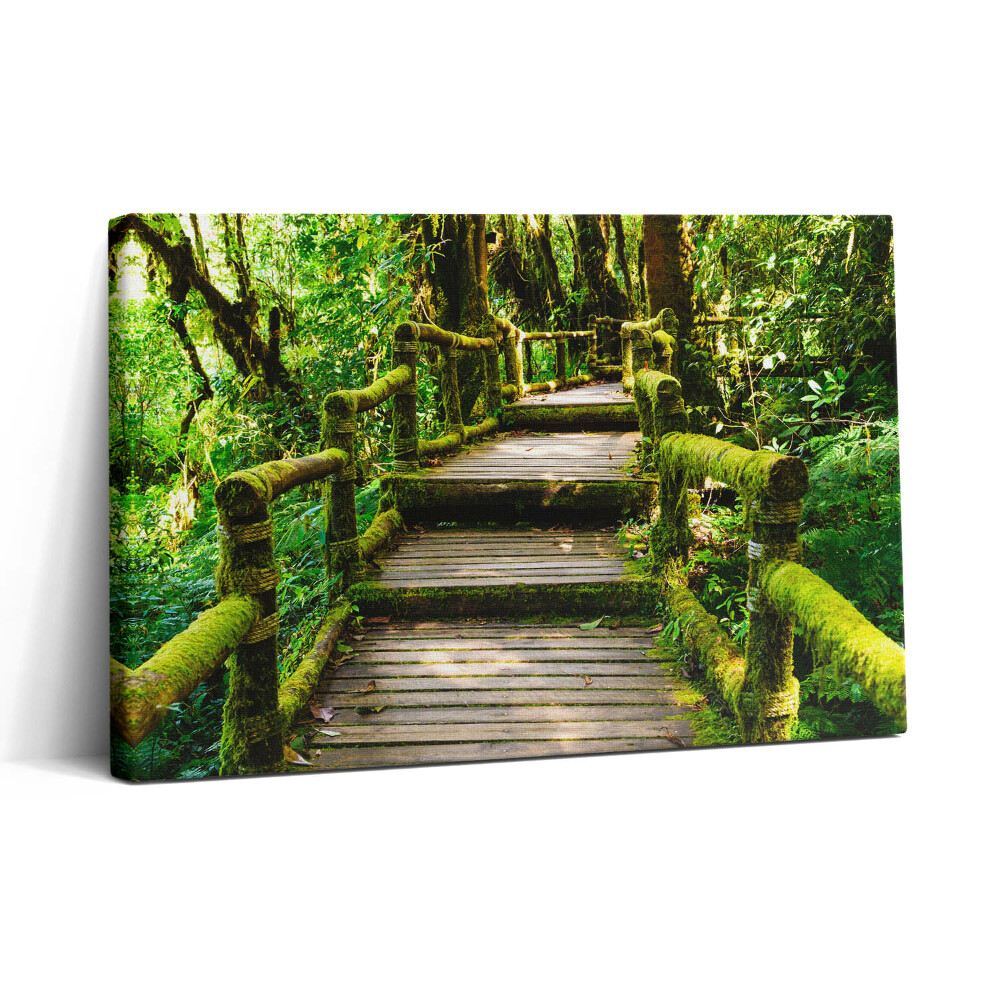 Tablou canvas 30x20 Pasarelă pietonală din lemn - agroturism