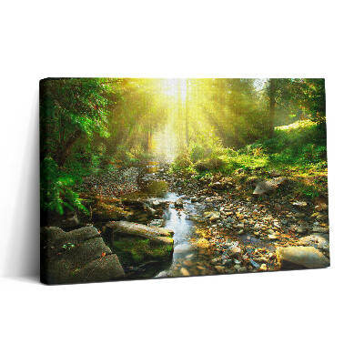 Tablou canvas 30x20 Pârâu de pădure la soare