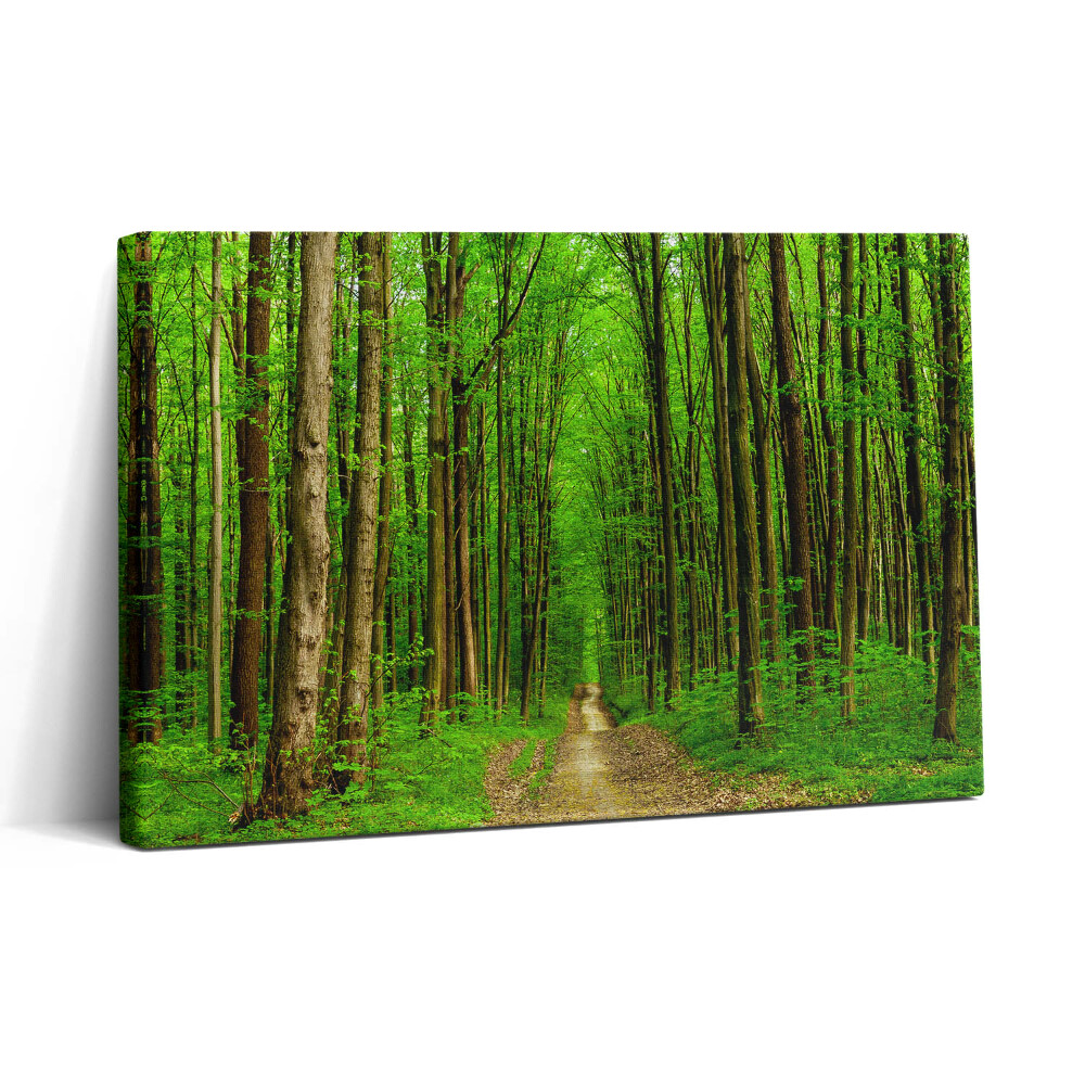 Tablou canvas 30x20 Drum forestier printre copaci