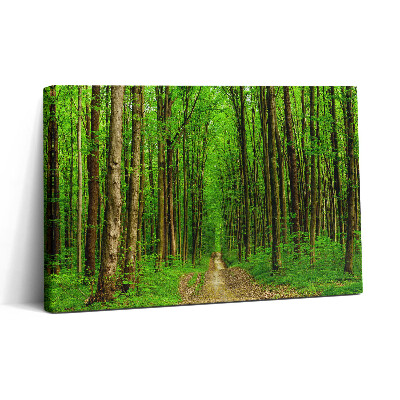 Tablou canvas 30x20 Drum forestier printre copaci