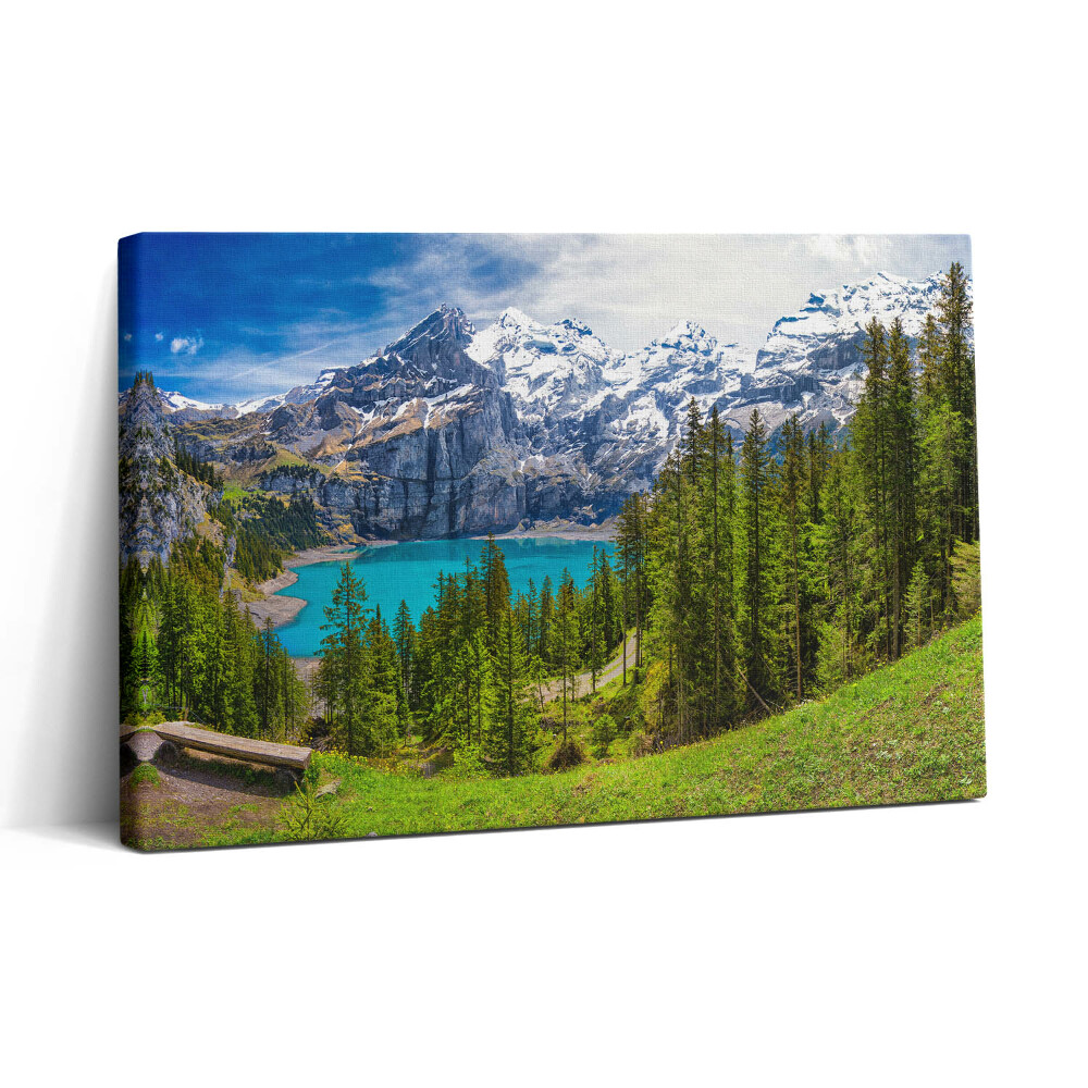 Tablou canvas 30x20 Peisaj de pajiști și munți